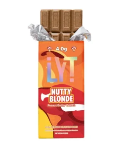 Lyt Mushroom Chocolate