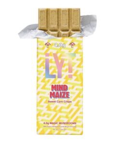 Lyt Mushroom Chocolate